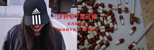 гидра Абаза