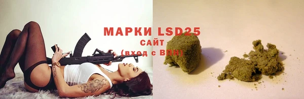 гидра Абаза