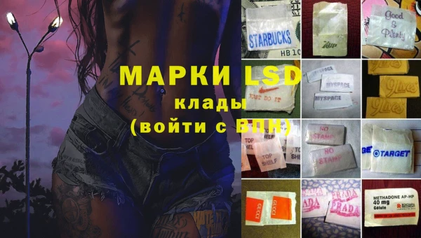 гидра Абаза