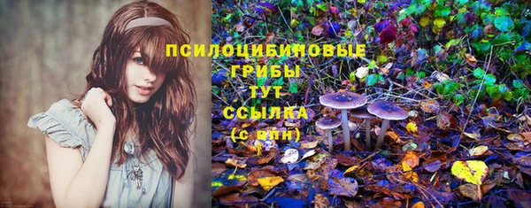 гидра Абаза